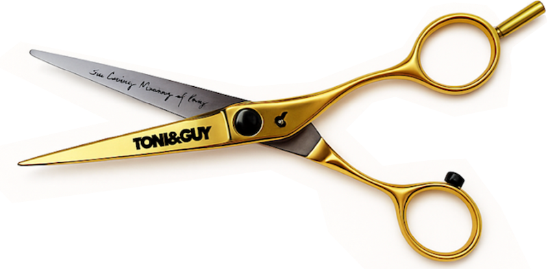 toni-guy-cutting-healthcare-cost-v2